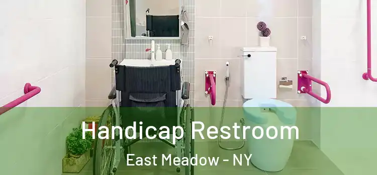 Handicap Restroom East Meadow - NY